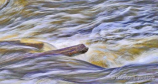 Log In Spring Runoff_P1030860.jpg - Photographed along the Rideau Canal Waterway at Smiths Falls, Ontario, Canada.